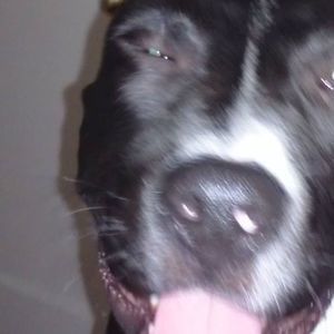 Meet your Posher, Cynthia